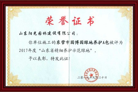 7-荣誉证书2017 年9月
