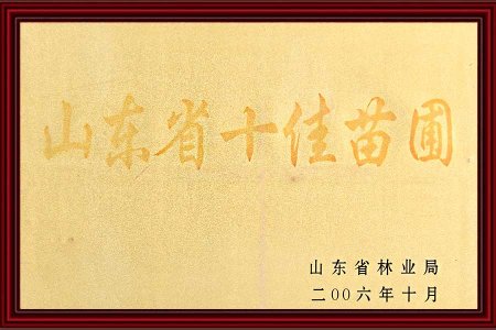 荣誉证书